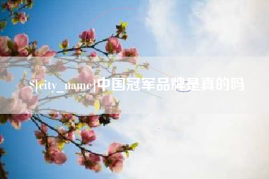 慈溪中国冠军品牌是真的吗