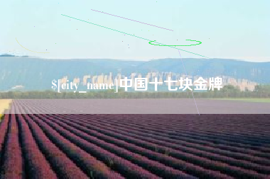 慈溪中国十七块金牌