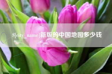 慈溪新版的中国地图多少钱