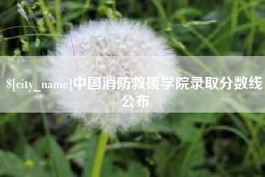 慈溪中国消防救援学院录取分数线公布