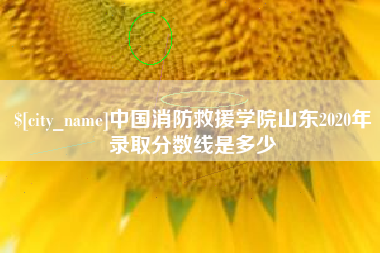 慈溪中国消防救援学院山东2020年录取分数线是多少