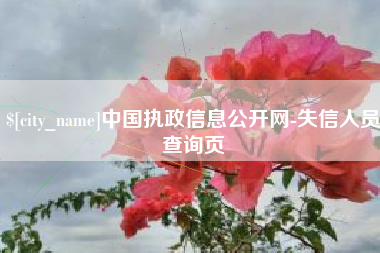 慈溪中国执政信息公开网-失信人员查询页