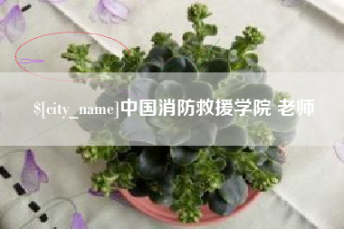 慈溪中国消防救援学院 老师