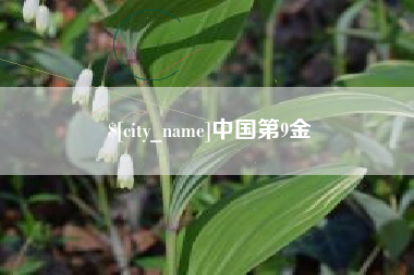 慈溪中国第9金