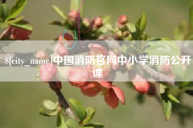 慈溪中国消防官网中小学消防公开课