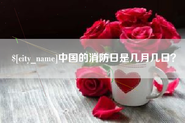 慈溪中国的消防日是几月几日？