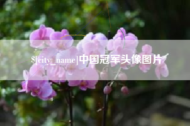 慈溪中国冠军头像图片