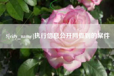 慈溪执行信息公开网查到的案件