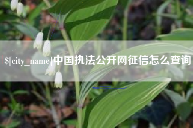 慈溪中国执法公开网征信怎么查询