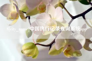 慈溪中国执行记录查询系统app