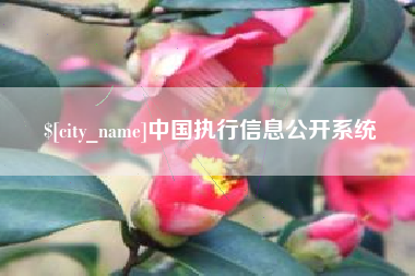 慈溪中国执行信息公开系统