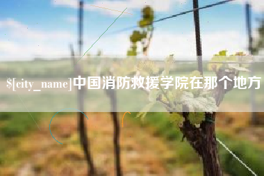 慈溪中国消防救援学院在那个地方
