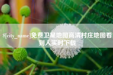慈溪免费卫星地图高清村庄地图看到人实时下载