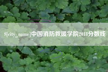 慈溪中国消防救援学院2018分数线