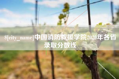 慈溪中国消防救援学院2020年各省录取分数线