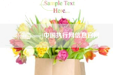 慈溪中国执行网信息官网