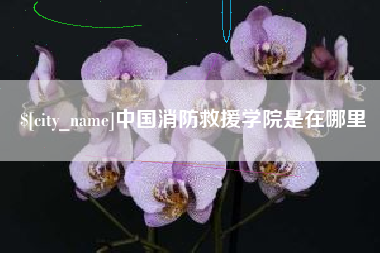 慈溪中国消防救援学院是在哪里