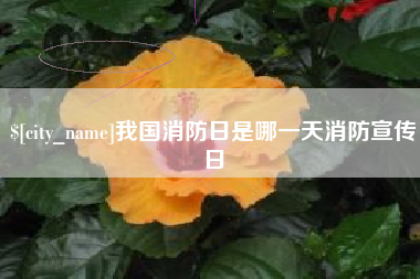 慈溪我国消防日是哪一天消防宣传日