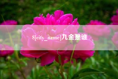 慈溪九金是谁