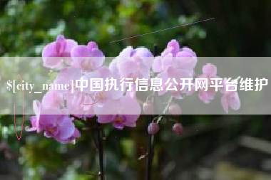 慈溪中国执行信息公开网平台维护