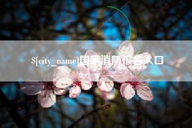 慈溪国家消防报名入口