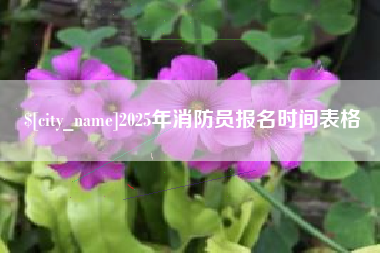 慈溪2025年消防员报名时间表格
