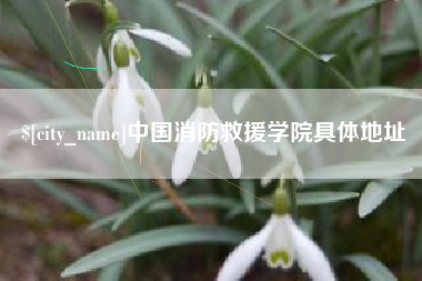 慈溪中国消防救援学院具体地址