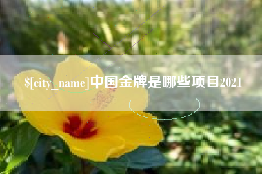 慈溪中国金牌是哪些项目2021