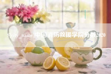 慈溪中国消防救援学院分数2020