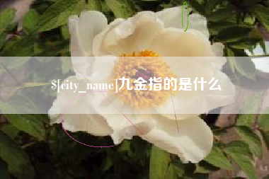 慈溪九金指的是什么