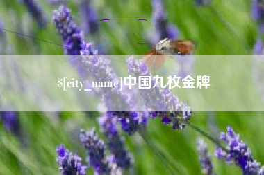 慈溪中国九枚金牌