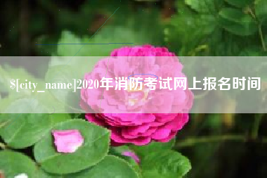 慈溪2020年消防考试网上报名时间