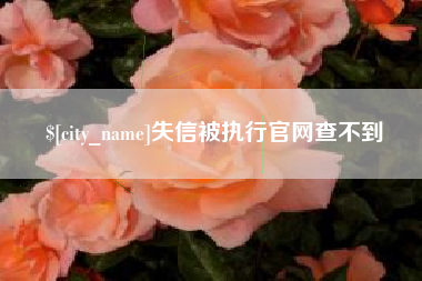 慈溪失信被执行官网查不到