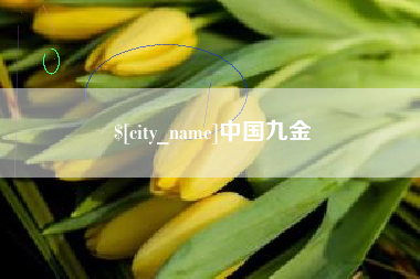 慈溪中国九金