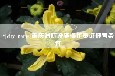 慈溪重庆消防设施操作员证报考条件