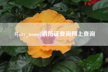 慈溪消防证查询网上查询