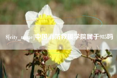 慈溪中国消防救援学院属于985吗