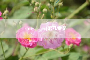 慈溪第九金是