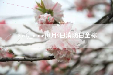 慈溪11月9日消防日全称