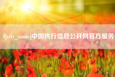 慈溪中国执行信息公开网官方服务