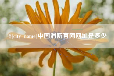 慈溪中国消防官网网址是多少