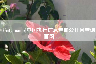 慈溪中国执行信息查询公开网查询官网