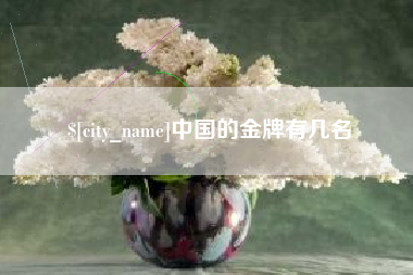 慈溪中国的金牌有几名