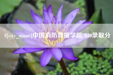 慈溪中国消防救援学院2020录取分