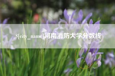 慈溪河南消防大学分数线