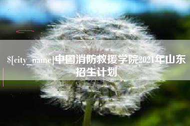 慈溪中国消防救援学院2021年山东招生计划
