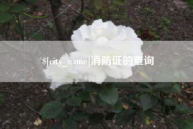 慈溪消防证的查询
