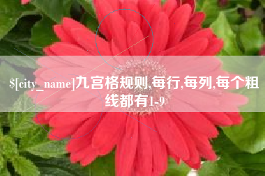 慈溪九宫格规则,每行,每列,每个粗线都有1-9
