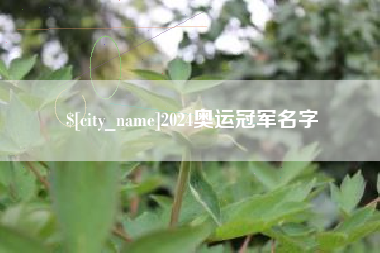 慈溪2024奥运冠军名字