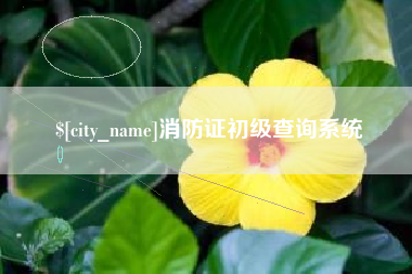 慈溪消防证初级查询系统